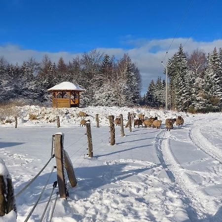 Chalet Boruvka - Biofarma Na Samote V Lesich Benesov  Exterior photo